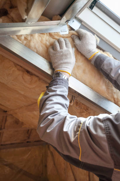 Professional Insulation Contractor in La Salle, CO