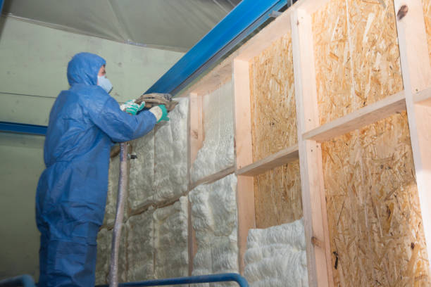 Best Insulation Replacement Services  in La Salle, CO